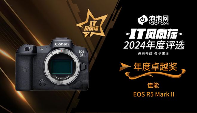 】2024年度评选：年度卓越奖k8凯发马竞赞助【IT风向标(图2)