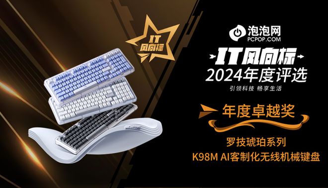 】2024年度评选：年度卓越奖k8凯发马竞赞助【IT风向标(图3)