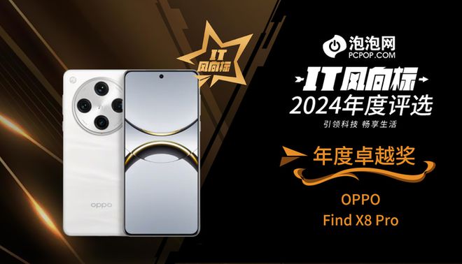 】2024年度评选：年度卓越奖k8凯发马竞赞助【IT风向标(图7)